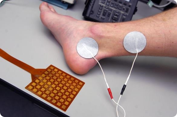 European scientists have teamed up with clinicians from Sheffield to develop new treatments for people with bladder problems.From left Prof Christopher Chapple with Sabìniano Roman, Martin Slovak and Michelle Battye