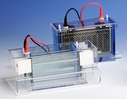 TWC-202-20 Dual Double-Wide Mini-Vertical Electrophoresis System