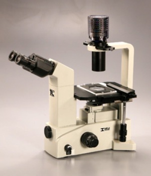 TC-5100 Brightfield Binocular Inverted Microscope from Meiji