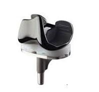 JOURNEY Bi-Cruciate Stabilized Knee System from Smith & Nephew