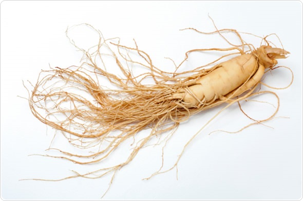 Ginseng