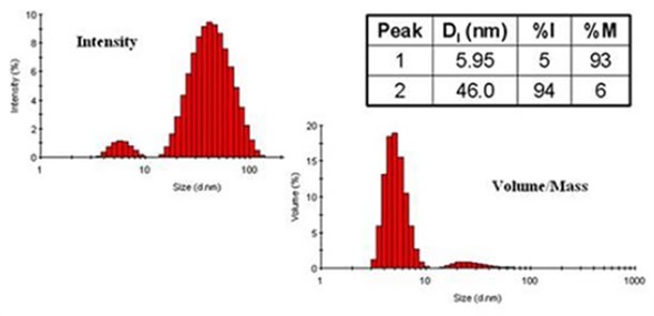 Comparison of DLS derived intensity and mass distributions for ovalbumin in PBS at 79°C.