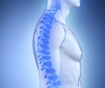 Sheffield University pioneers osteoporosis research