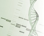 Genetic study reveals how DNA repeats expand with age