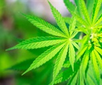 Salk researchers create detailed genetic atlas of cannabis to date