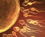 Fertility warning: SARS-CoV-2 can linger in sperm for months after infection