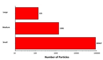 Summary of morphological results grouped based on size