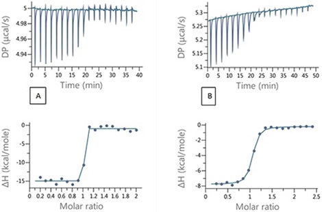 Raw and integrated ITC data for (A) direct titration of 200 μM EZA into 20 μM bCAII and (B) Competition titration 200 μM EZA into 20 μM bCAII and 100 μM FUR.