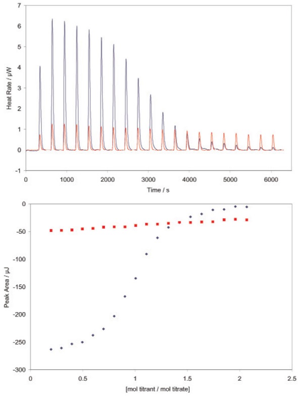 Determining the binding constant of a very weakly binding ligand using a TA Instruments calorimeter. RNase A binds both 2’-CMP and 5’-CMP in the same binding pocket, but shifting the hydroxyl group from the 2’ to the 5’ position significantly decreases the binding affinity of the ligand. Red: incremental titration of 5’-CMP into RNase (950 μL 70μM RNase in the sample cell; 100μL 1.3mM 5’-CMP in the syringe titrated into the RNase solution in 20, 5μL increments). All solutions were prepared in 0.15mM acetate buffer, pH 5.5, and experiments were conducted at 25°C. Very low heat rates are obtained (top panel); integration of the heats over the time course of the experiment yields a line with little curvature (lower panel). Binding models fit to this data can only provide a rough estimate of the binding constant. Blue: Incremental titration of 2’-CMP into RNase prebound with 5’-CMP (950μL 70μM RNase prebound with 0.32μM 5’-CMP; 100μL 1.3mM 2’-CMP in the syringe titrated into the RNase solution in 20, 5μL increments. Solutions were prepared in the same buffer as above, experiment conducted at 25°C. The displacement titration yields significant heats of binding (top panel), providing a graph of integrated heats (bottom panel) that can be fit to the correct model (independent binding, stoichiometry of 1) using the NanoAnalyze software provided with the ITC. Knowing the binding constant for 2’- CMP (Figure 1) allows the binding constant of 5’-CMP (3100M-1) and the enthalpy of binding (-47kJ/mol) to be accurately calculated, without having to resort to high concentrations of RNase. Both values are in agreement with previous measurements (Velazquez Campoy and Freire, 2005). Note that the displacement experiment yields heat rates and integrated heats approximately half that obtained by the titration of 2’-CMP alone into RNase (Figure 2).  Conclusion
