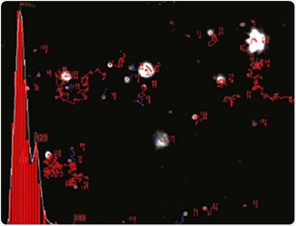 An example of the size distribution profile generated by NTA. The modal size for this sample is found to be approximately 70 nm, with larger sized particles also present.
