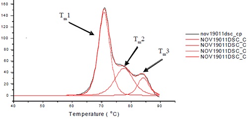 Representative thermogram for L1B. For L1B, Tm1 is a combination of the unfolding of the CH2 and one of the Fc domains. Tm2 is the unfolding of the CH3 domain, and Tm3 is the unfolding of the other Fc domain. Note that the order in which the domains unfold may change for different antibody isotypes.