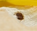 Inbreeding in bed bugs one key to massive increases in infestations