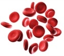 Gut microbial imbalance linked to chronic sickle cell disease pain