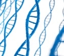 Genetic study reveals how DNA repeats expand with age