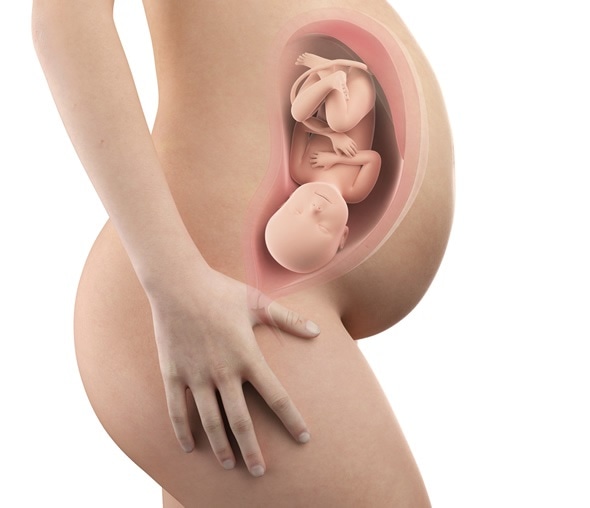 Pregnant woman with visible uterus and fetus week 40. Image Copyright: Sebastian Kaulitzki / Shutterstock