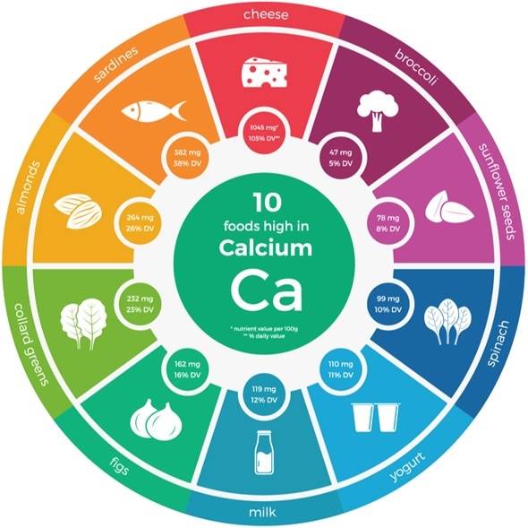 Calcium Rich Foods