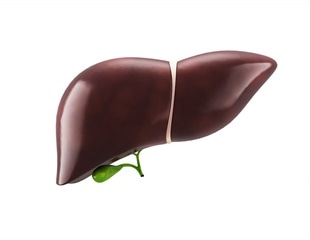 New insights into long-term liver injury after Kasai portoenterostomy for biliary atresia