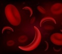 FDA ensures blood safety through five layers of safeguards