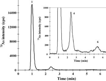 IC-ICP/MS profile of enzymatic extracts of (left) BCR-627 and (right) DOLT-3 obtained by MAEE. Peak identification of the right-hand chromatogram: (1) AsBet, (4) DMA, and (6) As(V). Column: Metrosep Anion Dual 3 - 100/4.0, Metrosep Anion Dual 3 guard; eluent A: 5 mmol/L NH4NO3; eluent B: 50 mmol/L NH4NO3, 2% (v/v) methanol (pH 8.7); flow rate: 1 mL/min; m/z 75, 77, 82.