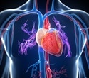 Study sheds new light on the role of NSUN2 protein in cardiac hypertrophy and heart failure