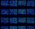 How Do Microarrays Work?