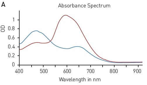 Bradford protein quantification assay. A) Absorbance spectrum of Coomassie Brilliant Blue G 250 (without protein – blue, in presence of BSA – red) B) Protein standard curve of BSA.
