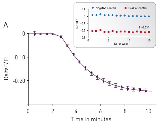 (A) Kinetic measurements of D2 mediated Gi signaling using green—cADDis sensor and the D2 specific agonist Quinpirole. Mean +/- SEM; n = 12 wells. Insert, Gi assay performance in 96-well plate. Z’ factor is 0.741. (B) Dose response to Quinpirole. EC50 is 5.7 nM. Mean +/- SEM. n = 6 wells / condition.