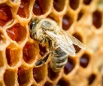 Mild bee venom appears to be more usable for pharmacology