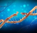 Experimental RNA drug shows promise for repairing DNA and healing tissue damage