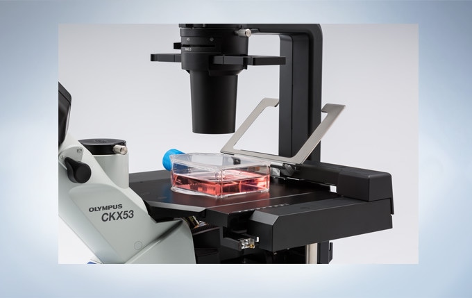 Flexibility of Using Different Containers