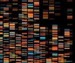 What is Functional Genomics?