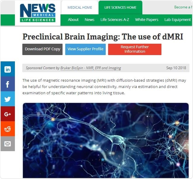 Preclinical Brain Imaging Article Example