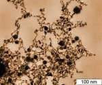 Biological Obstacles of Gold Nanoparticles
