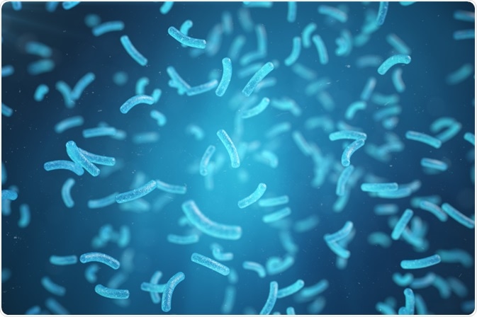 Bacteria for metaproteomic sequencing - By Rost9