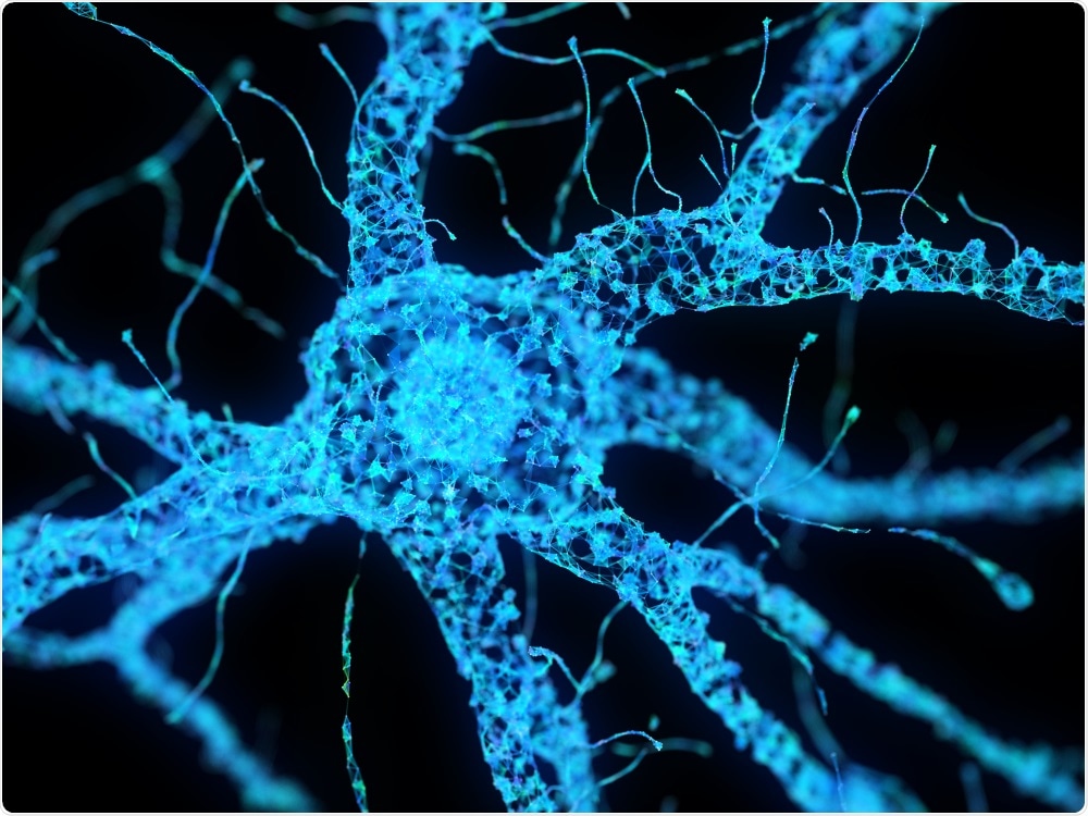 Neuronal cells - Sebastian Kaulitzki