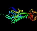 GPCR Oligomers and Oligomerization