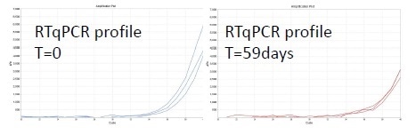 qRT-PCR results