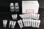 S-BIO’s EZGlyco mAb-N Kit with 2-AB