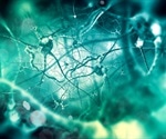 Researchers use "zap-and-freeze" technique to watch hard-to-see brain cell communications