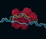 Researchers discover why CRISPR gene editing sometimes fails