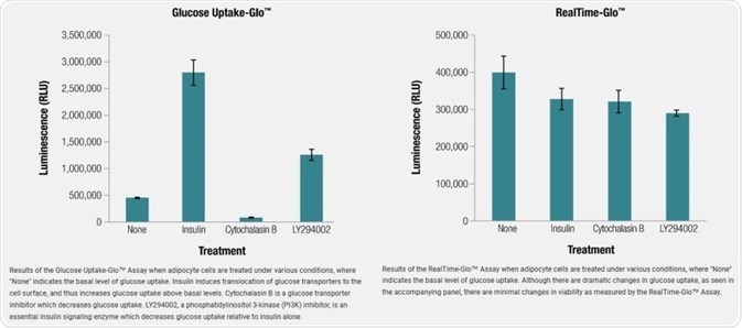 Real time Glo assay graph