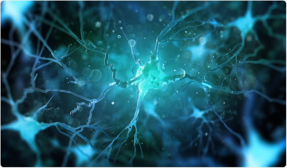 Nerve cells in human body