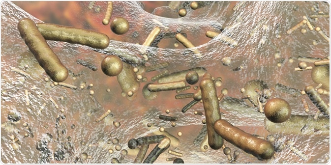Antibiotic resistant bacteria inside a biofilm. Image Credit: Kateryna Kon / Shutterstock