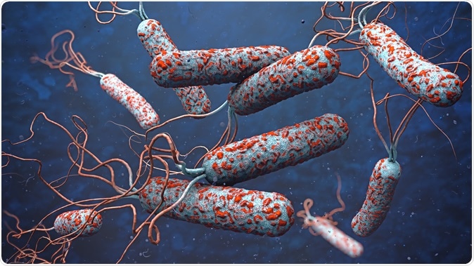 3d illustration of cholera pathogens. Image Credit: Christoph Burgstedt / Shutterstock
