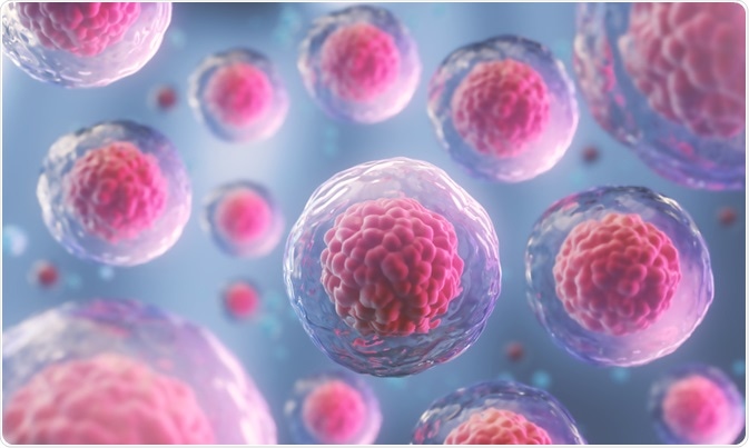 Cells - By Anusorn Nakdee