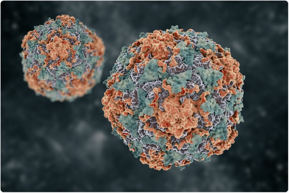 Illustration of hepatitis virus - By vitstudio