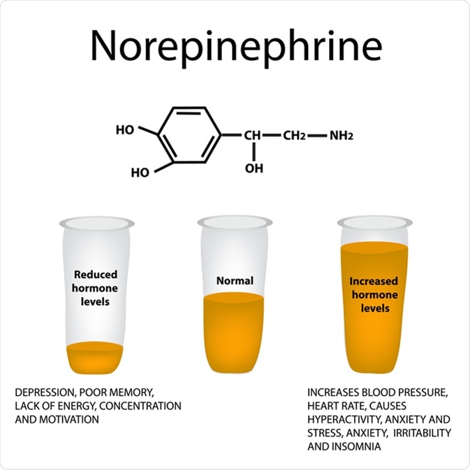 Hormone norepinephrine. Image Credit: Timonina / Shutterstock