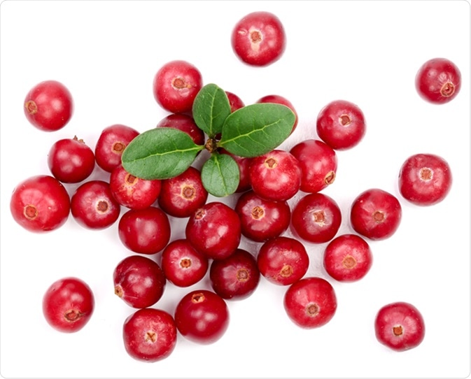 Cranberry. Image Credit: Nataly Studio / Shutterstock