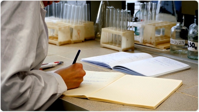 Image Credit: Media Whalestock / Shutterstock