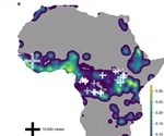 Computer model predicts location of future Ebola virus outbreaks